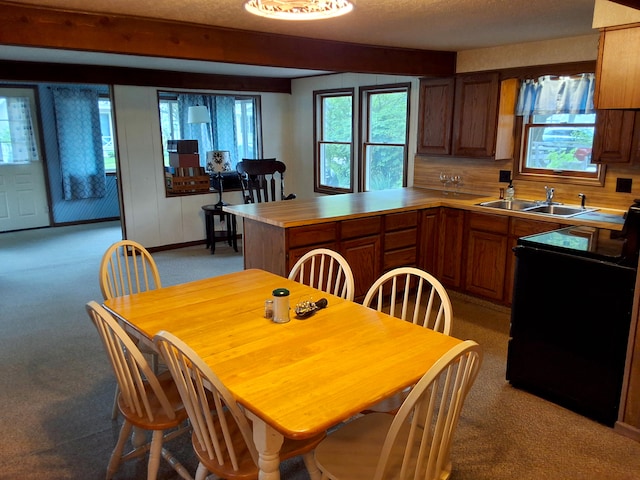dining space with light carpet