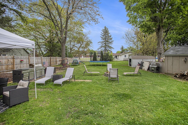 77 S Sprague St, Coldwater, MI 49036 - view of yard featuring a shed, a playground, a trampoline, and an outdoor structure