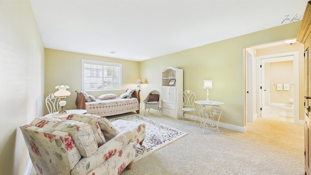 living area with carpet floors and baseboards