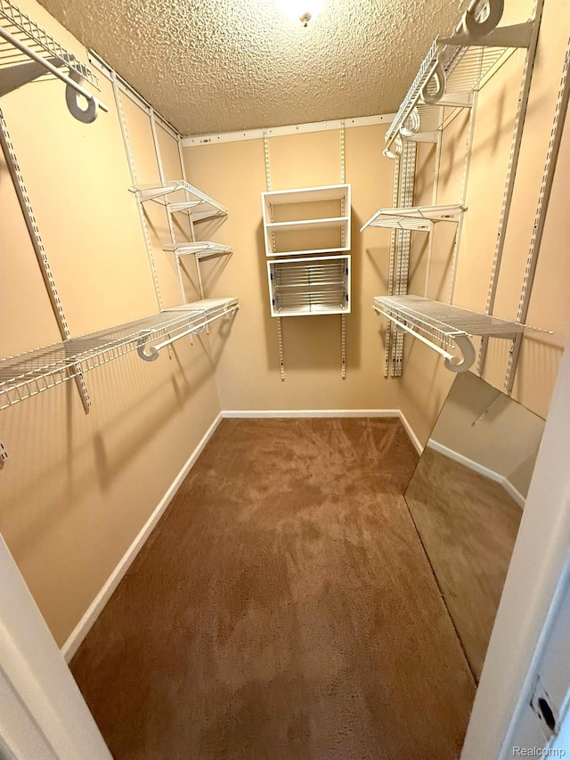 27915 Berrywood Ln Unit 72, Farmington Hills, MI 48334 - walk in closet featuring carpet