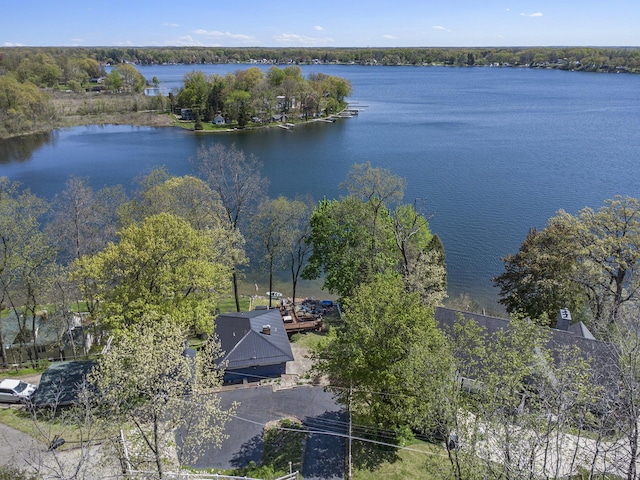 13872 Fineview Bluff Dr, Battle Creek, MI 49017 - photo 54