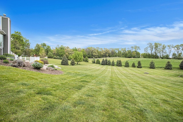view of green lawn