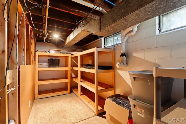 4730 Occidental Hwy, Adrian, MI 49221 - view of storage