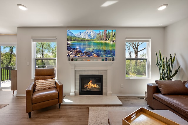 346 Quartz Way, White Lake, MI 48386 - living room featuring wood finished floors, a tile fireplace, recessed lighting, and baseboards