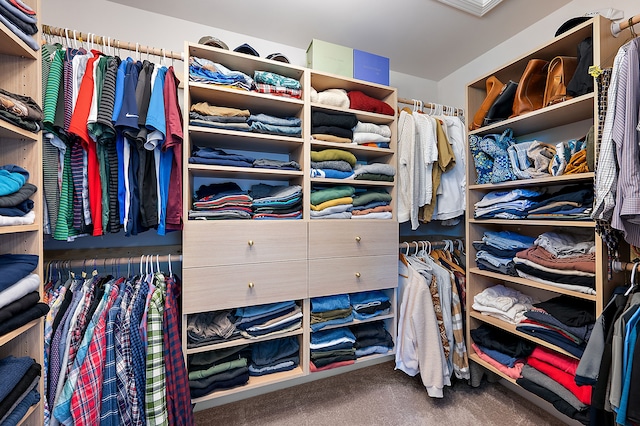 346 Quartz Way, White Lake, MI 48386 - spacious closet with carpet