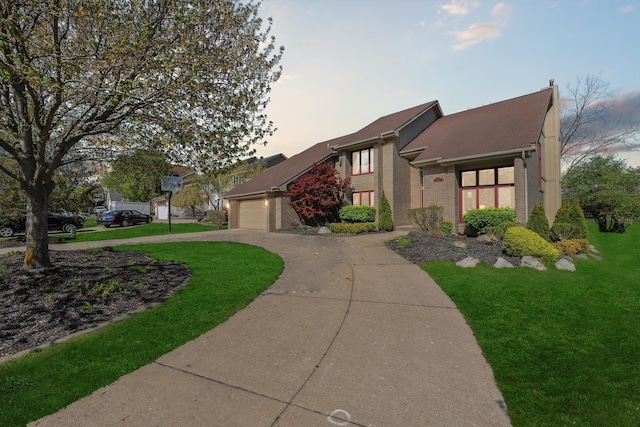 7039 Timberview Trl, West Bloomfield, MI 48322 - mid-century home with concrete driveway, an attached garage, a front yard, and brick siding