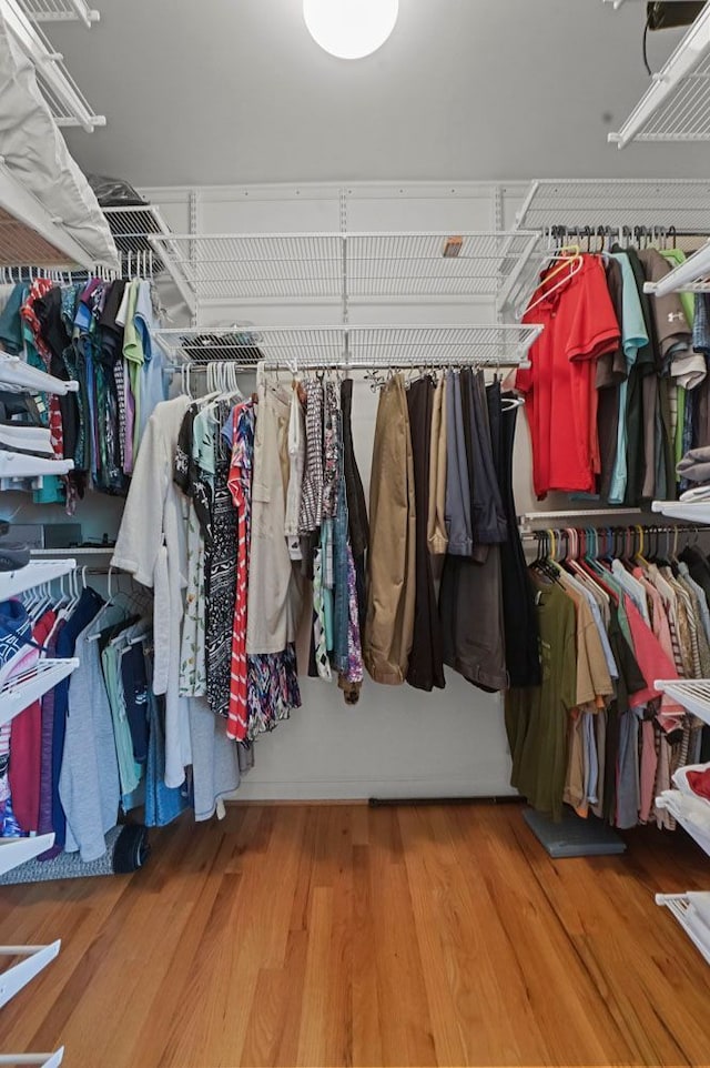 spacious closet featuring wood finished floors