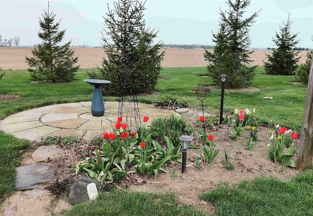 9642 Fike Rd, Blissfield, MI 49228 - view of grassy yard with a rural view