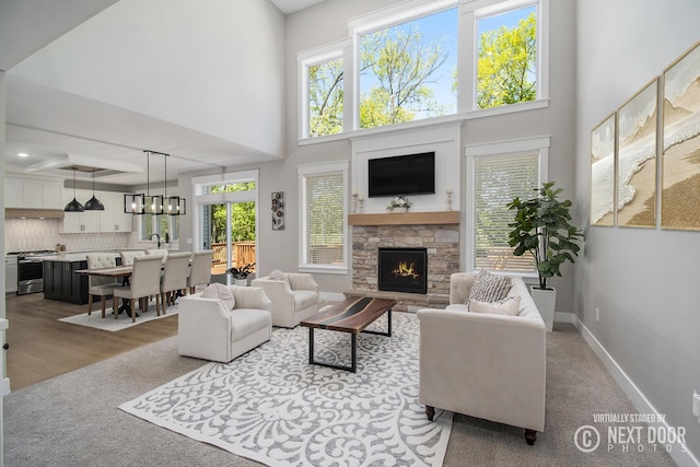 living room with a fireplace, a high ceiling, wood finished floors, and baseboards