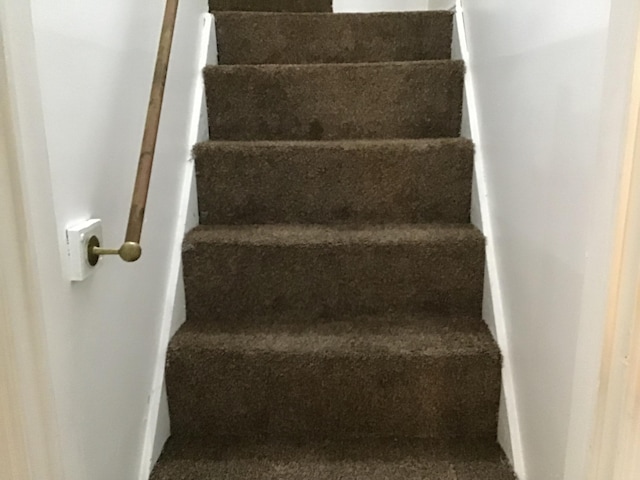 19595 Waldron St, Roseville, MI 48066 - stairway featuring carpet flooring