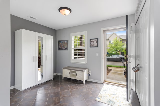 244 Wright St Unit 77, Wixom, MI 48393 - foyer entrance featuring healthy amount of natural light, baseboards, and dark tile patterned flooring