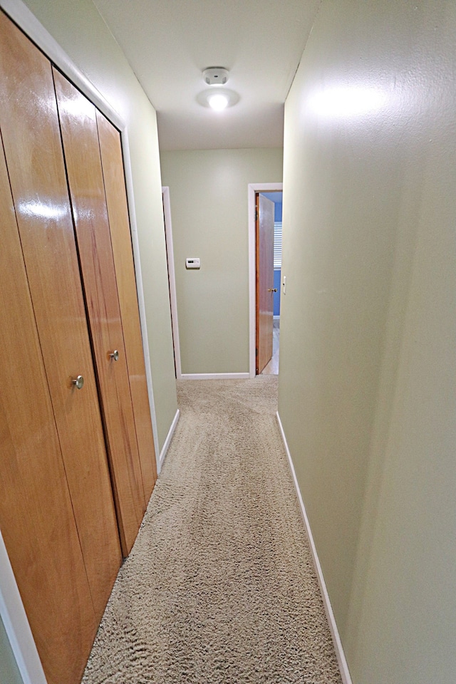 9963 Arnold, Redford, MI 48239 - hallway with carpet and baseboards