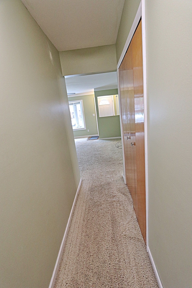 9963 Arnold, Redford, MI 48239 - hall featuring carpet flooring and baseboards