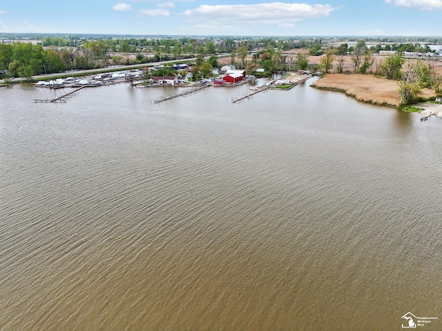 3131 Morin Point St, Erie, MI 48133 - aerial view of a large body of water