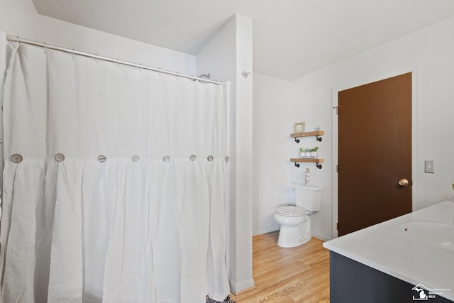 3131 Morin Point St, Erie, MI 48133 - bathroom featuring wood finished floors, toilet, a sink, and a shower with shower curtain