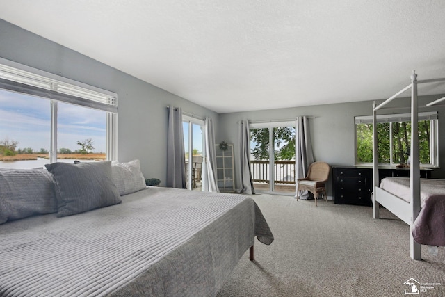 3131 Morin Point St, Erie, MI 48133 - bedroom with access to exterior, a water view, and carpet floors