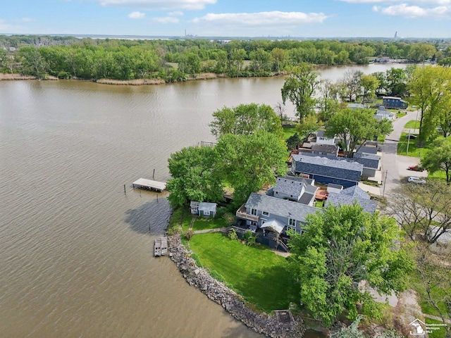 3131 Morin Point St, Erie, MI 48133 - aerial view of a large body of water
