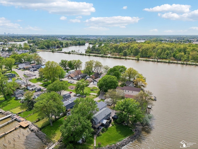 3131 Morin Point St, Erie, MI 48133 - aerial view of residential area featuring a nearby body of water