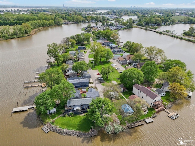 3131 Morin Point St, Erie, MI 48133 - bird's eye view of a large body of water