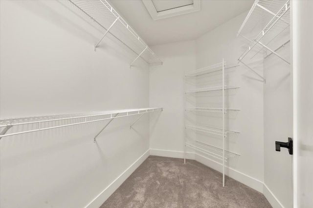 6515 Cambridge Cir, Clarkston, MI 48346 - spacious closet with carpet floors and attic access