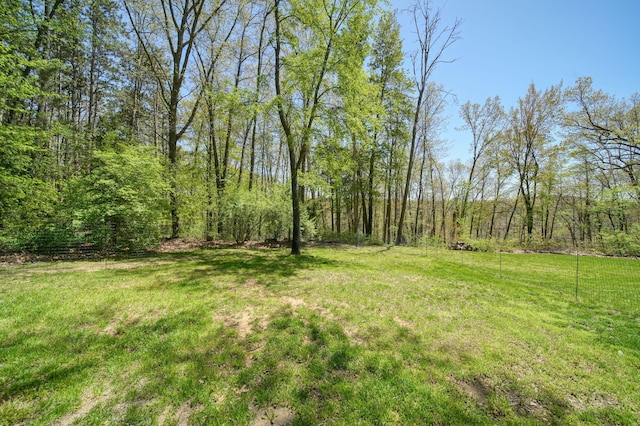 3380 Norvell Rd, Grass Lake, MI 49240 - view of grassy yard featuring a wooded view