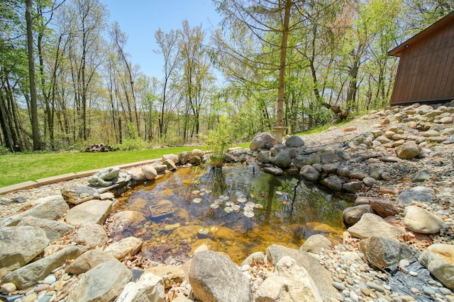 3380 Norvell Rd, Grass Lake, MI 49240 - exterior view of a garden pond