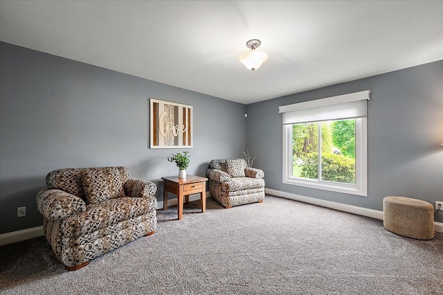 living area with carpet floors and baseboards