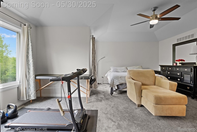 24516 Cavendish Ave E, Novi, MI 48375 - exercise area with carpet, ceiling fan, and plenty of natural light