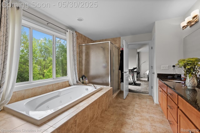 24516 Cavendish Ave E, Novi, MI 48375 - bathroom featuring healthy amount of natural light, a shower stall, a jetted tub, and vanity