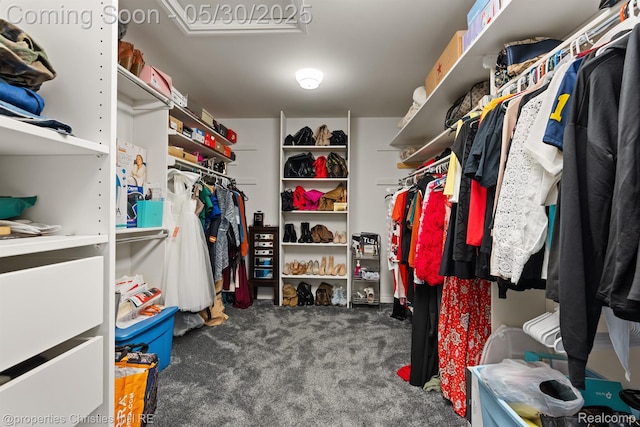 24516 Cavendish Ave E, Novi, MI 48375 - walk in closet with carpet flooring
