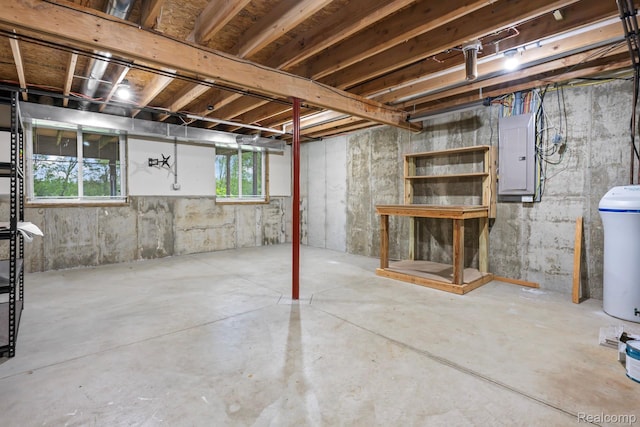 367 116th Ave, Martin, MI 49070 - below grade area featuring electric panel and a water softener
