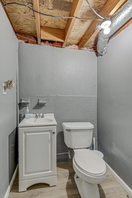 bathroom with toilet and vanity