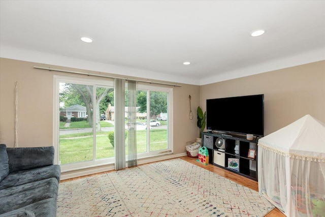 living room featuring wood finished floors and recessed lighting