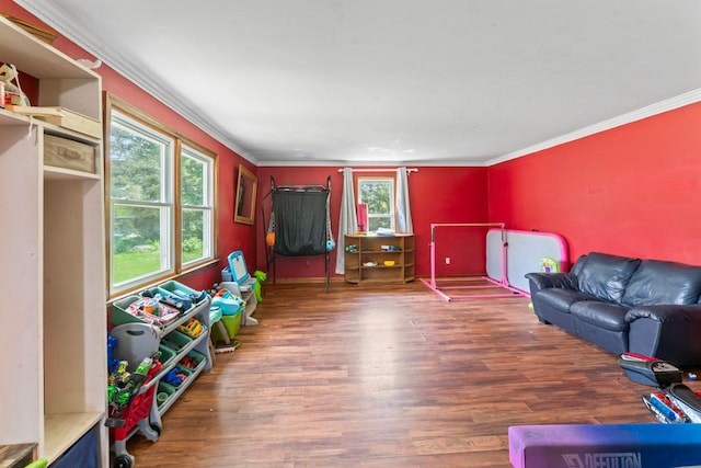 8277 Mccandlish Rd, Grand Blanc, MI 48439 - game room featuring crown molding, plenty of natural light, and wood finished floors