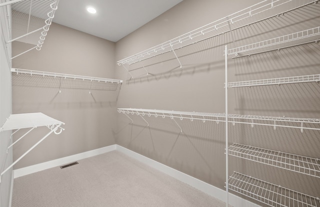 3048 Sheffield Cir, Clarkston, MI 48346 - spacious closet with carpet flooring