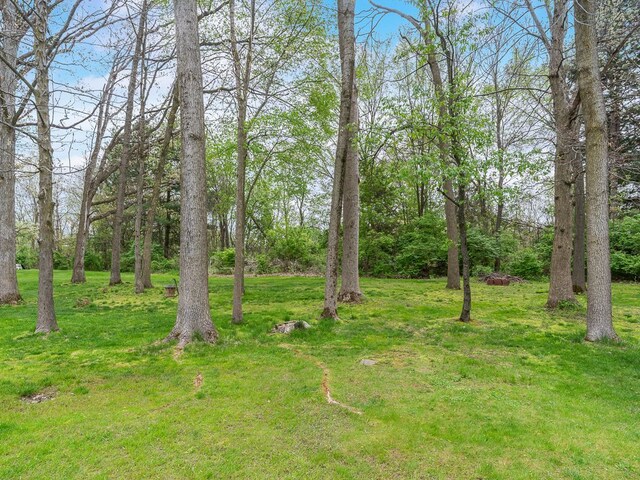9079 Twin Oaks, Flushing, MI 48433 - view of green lawn