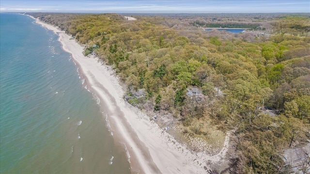 47130 Blue Star Hwy, Covert, MI 49043 - aerial view of property's location featuring a heavily wooded area and a nearby body of water