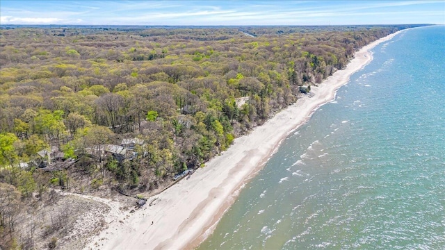 47130 Blue Star Hwy, Covert, MI 49043 - aerial view of property and surrounding area with a forest and unending shoreline