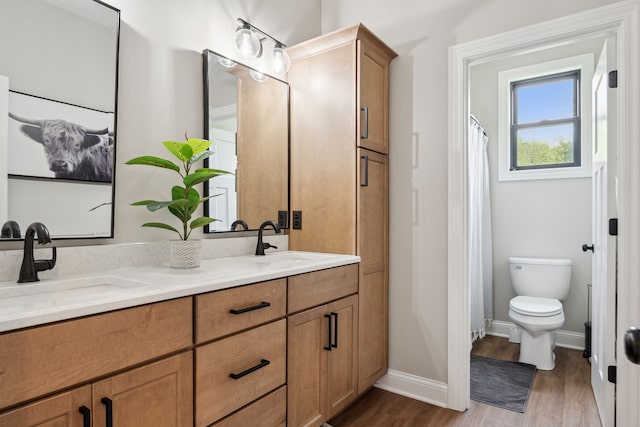 bathroom featuring wood finished floors, toilet, double vanity, and baseboards