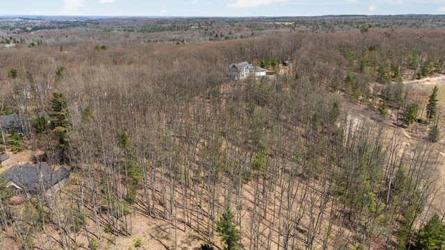 4139 Cranberry Ln, Williamsburg, MI 49690