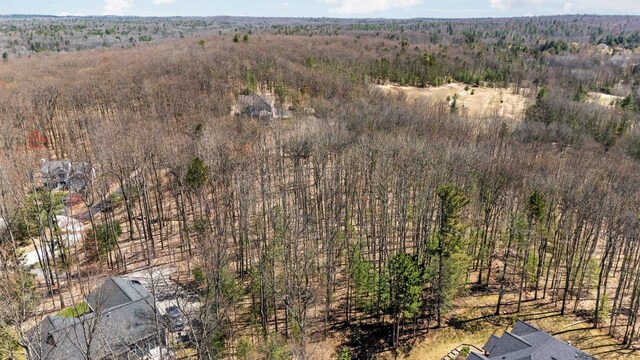 4139 Cranberry Ln, Williamsburg, MI 49690