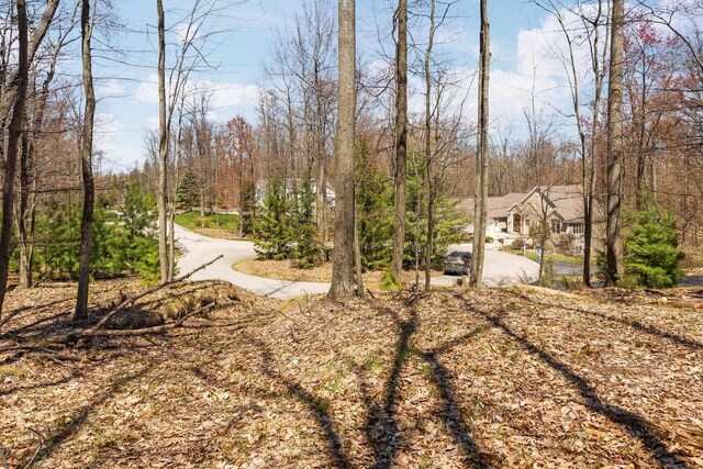 4139 Cranberry Ln, Williamsburg, MI 49690