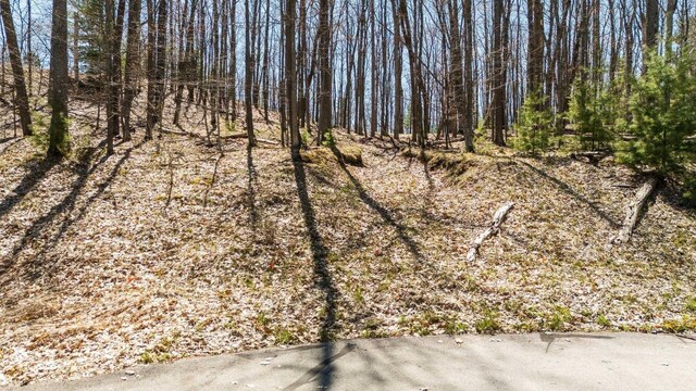 4139 Cranberry Ln, Williamsburg, MI 49690