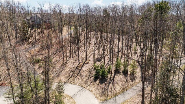 4139 Cranberry Ln, Williamsburg, MI 49690
