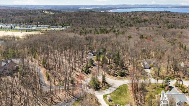 4139 Cranberry Ln, Williamsburg, MI 49690