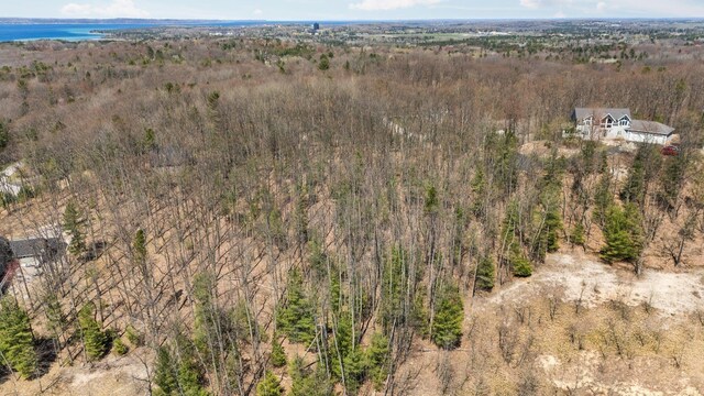 4139 Cranberry Ln, Williamsburg, MI 49690