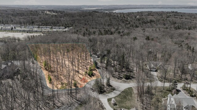 4139 Cranberry Ln, Williamsburg, MI 49690