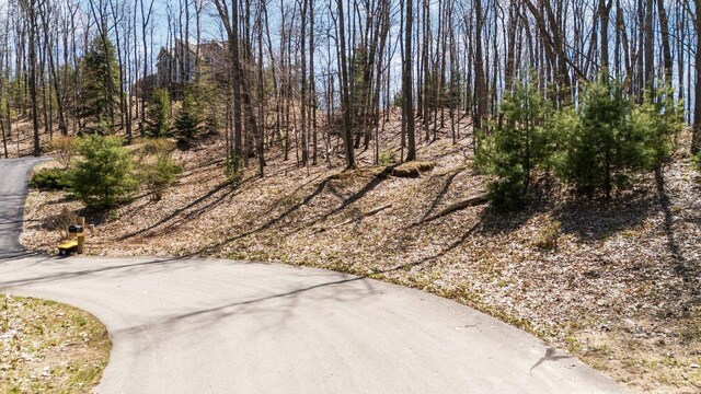 4139 Cranberry Ln, Williamsburg, MI 49690