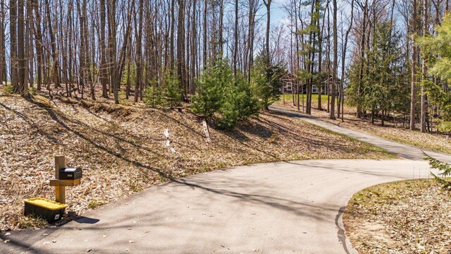 4139 Cranberry Ln, Williamsburg, MI 49690