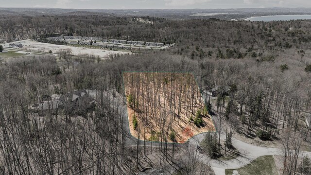 4139 Cranberry Ln, Williamsburg, MI 49690